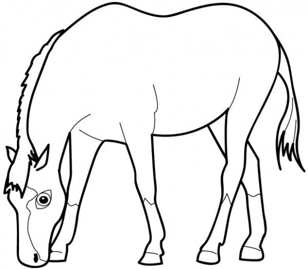 Horse Eating Saf3d Coloring Page