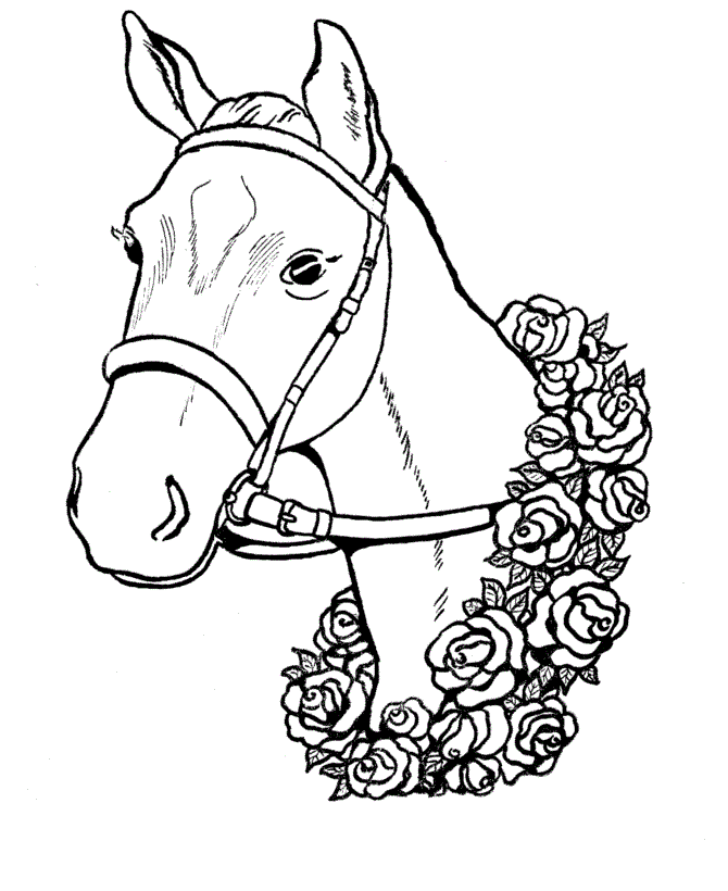 Horse Head S For Kids05b6 Coloring Page