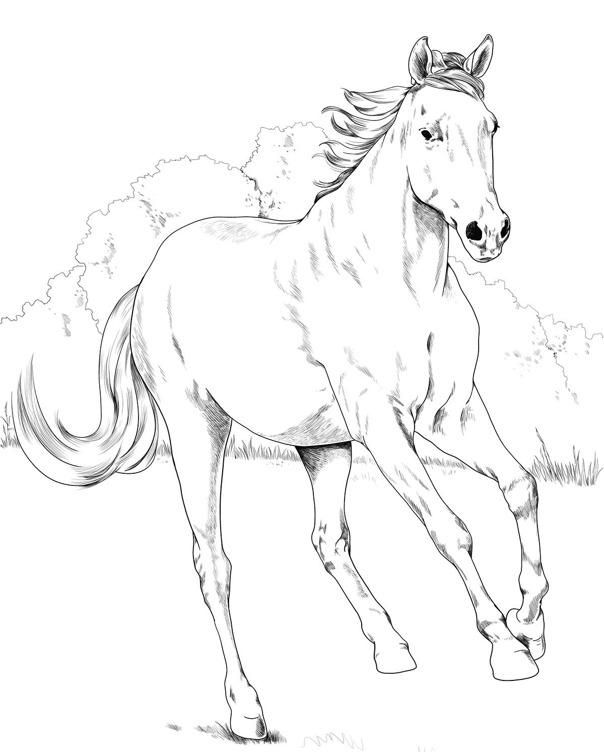 Horse Mustang Mare Coloring Page