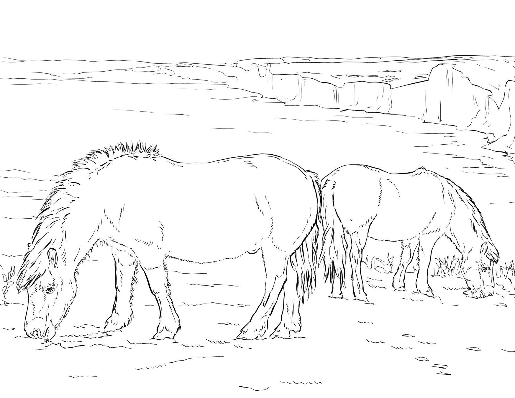 Horse Ponies Coloring Page