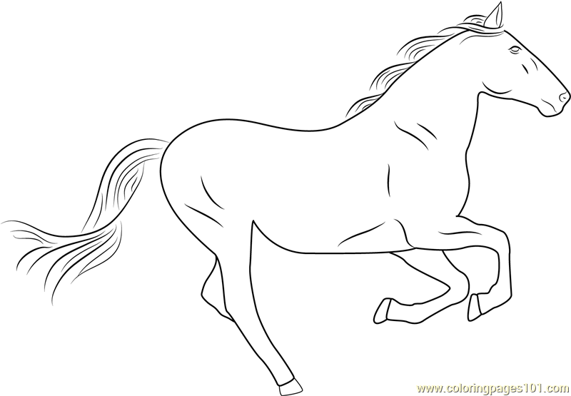 Horse Running Fast Coloring Page