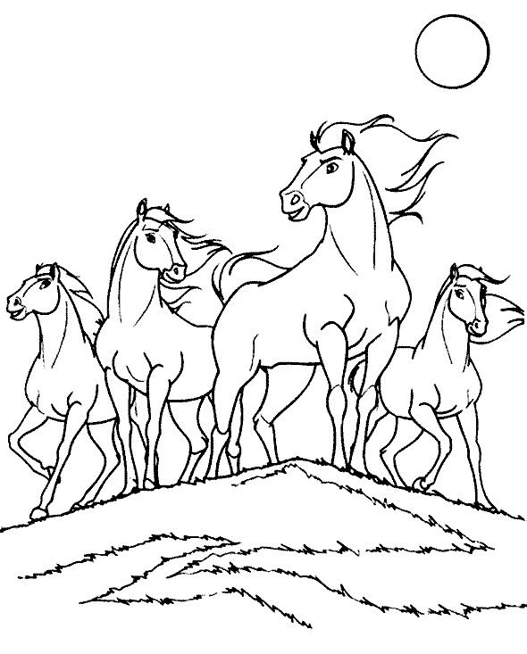 Horse S For Boysc776 Coloring Page