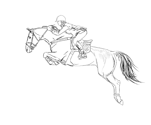 Horse S Jumping Sportbc5d Coloring Page
