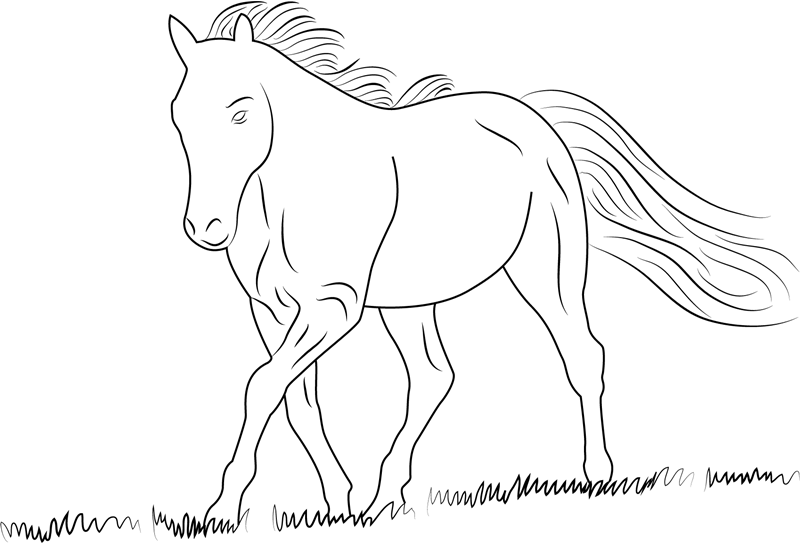 Horse Walking Coloring Page