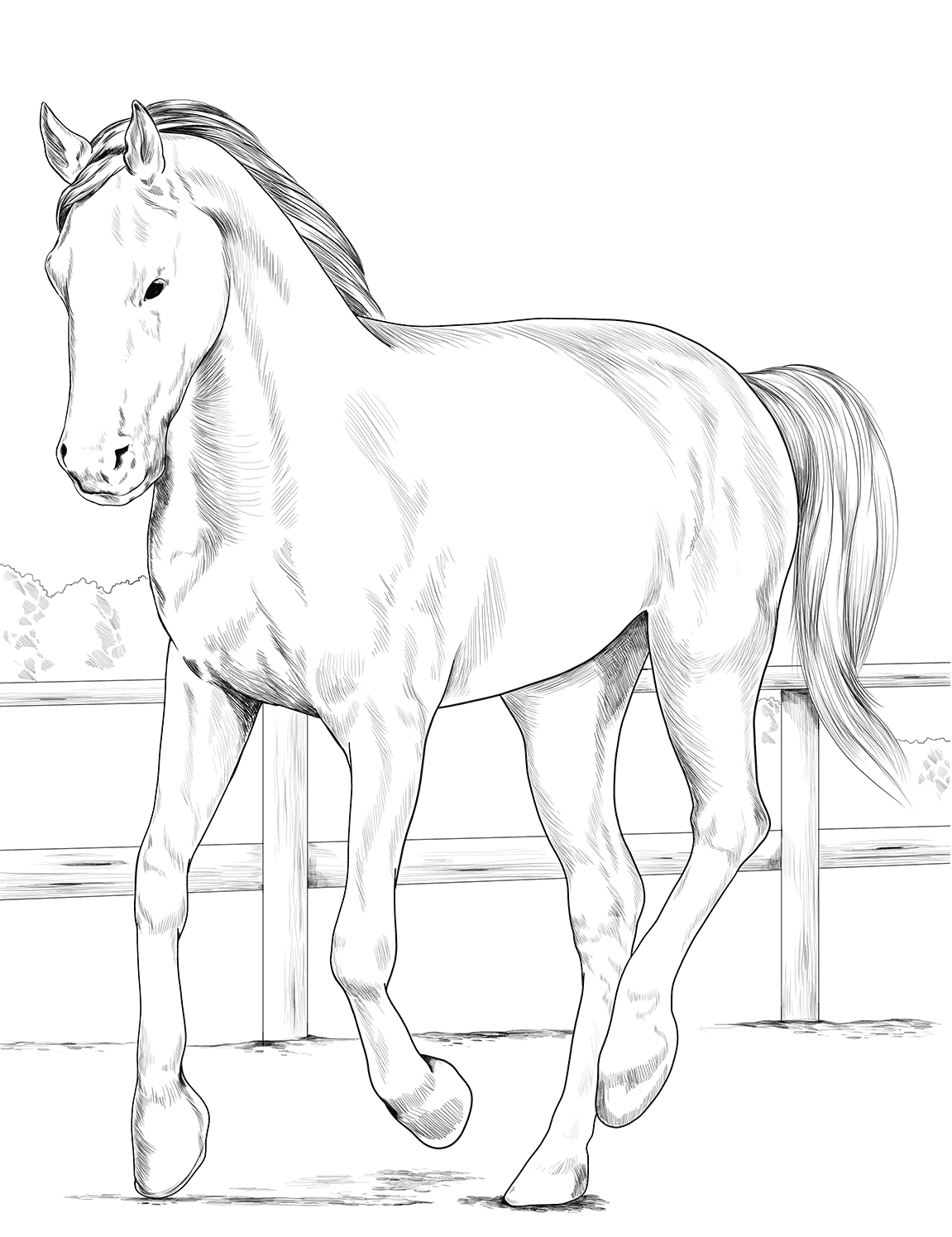 Horse Westphalian Coloring Page