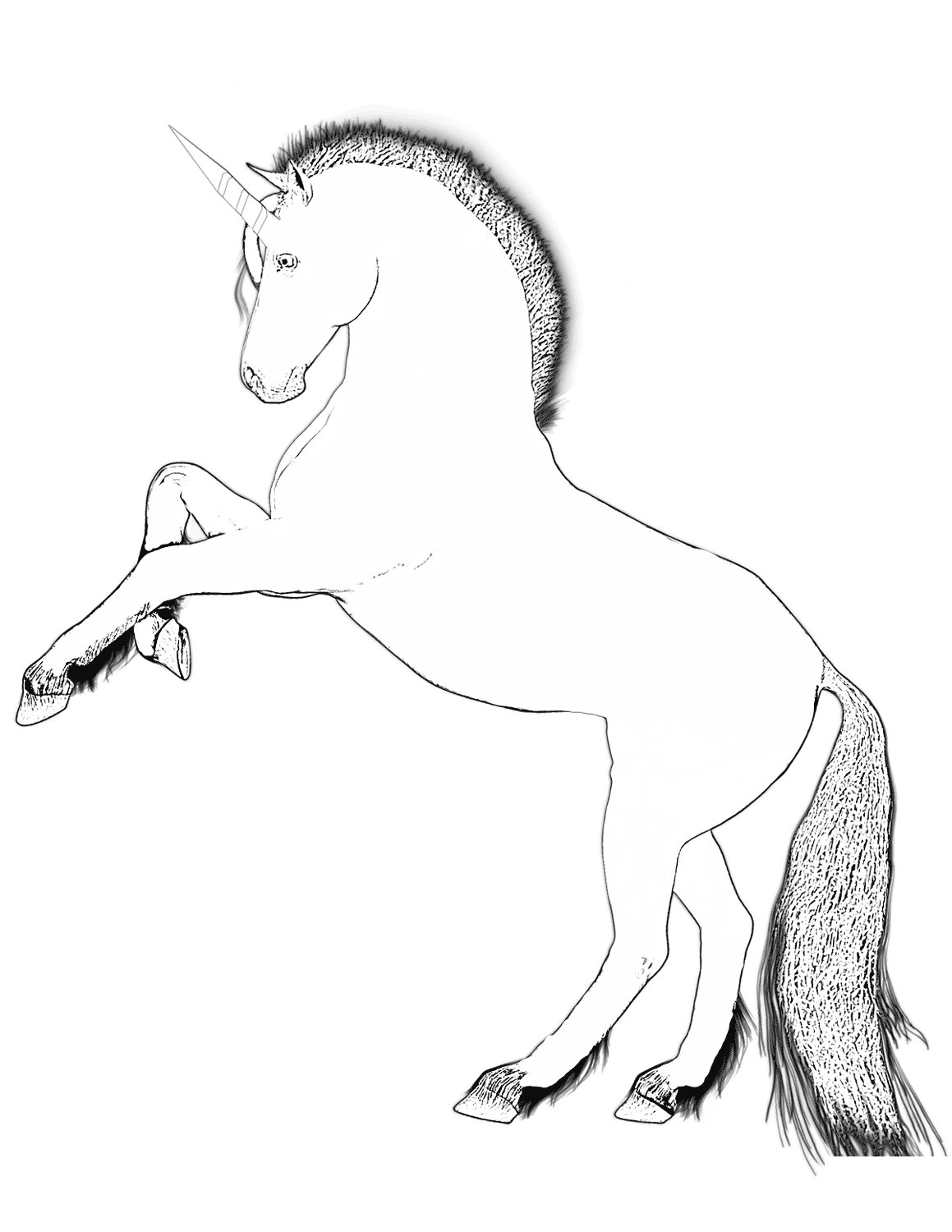 Horse With A Single Straight Horn Coloring Page