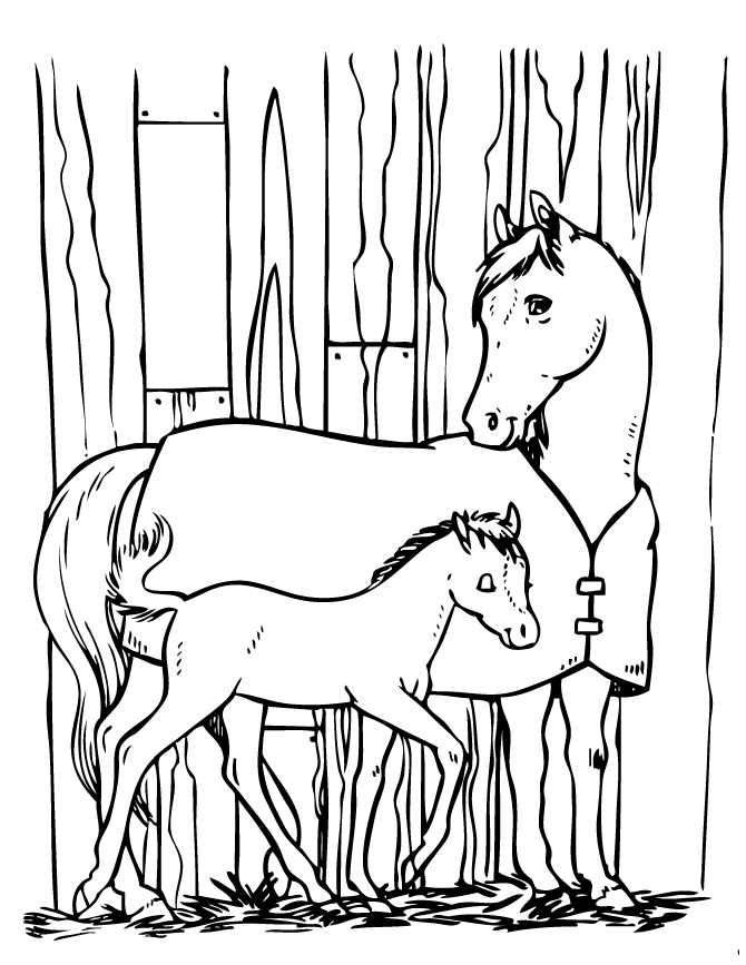 Horse_and_pony_coloring_page
