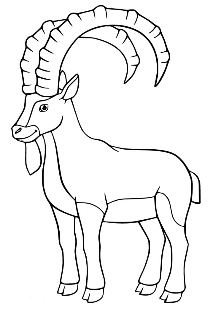 Ibex Smiling Coloring Page