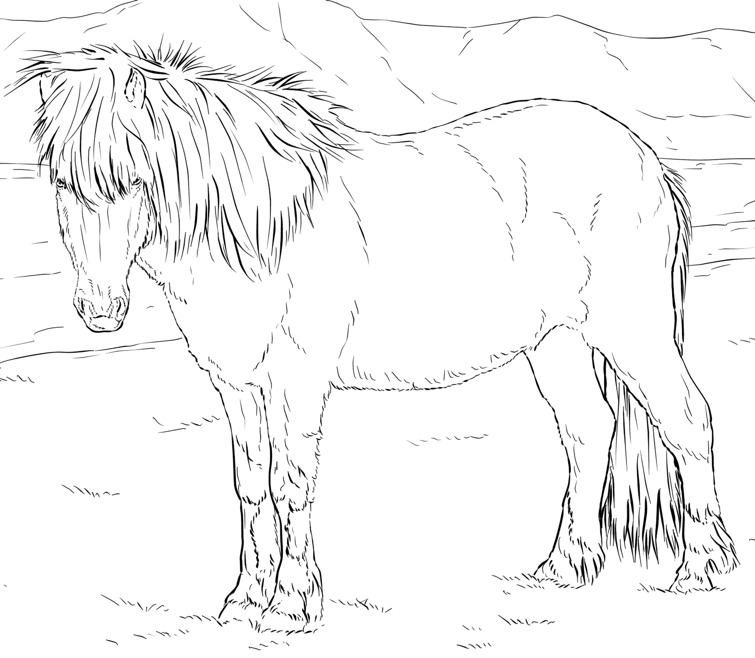 Icelandic Horse Coloring Page