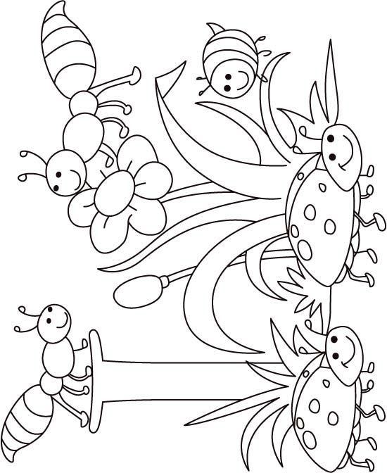 Insectss Coloring Page