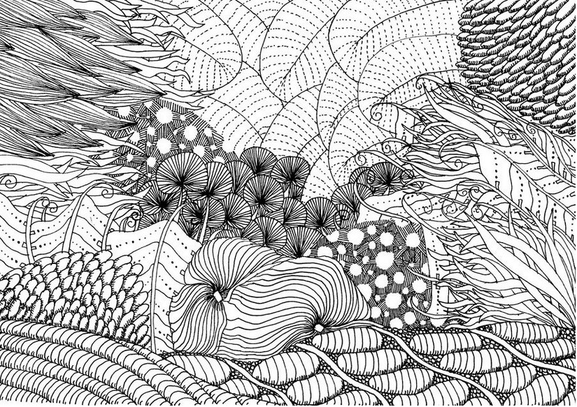 intricate ocean adult hard coloring pages coloring cool