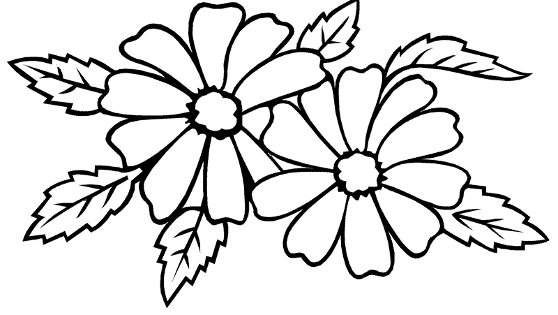 Jasmine Flower Sf27a Coloring Page