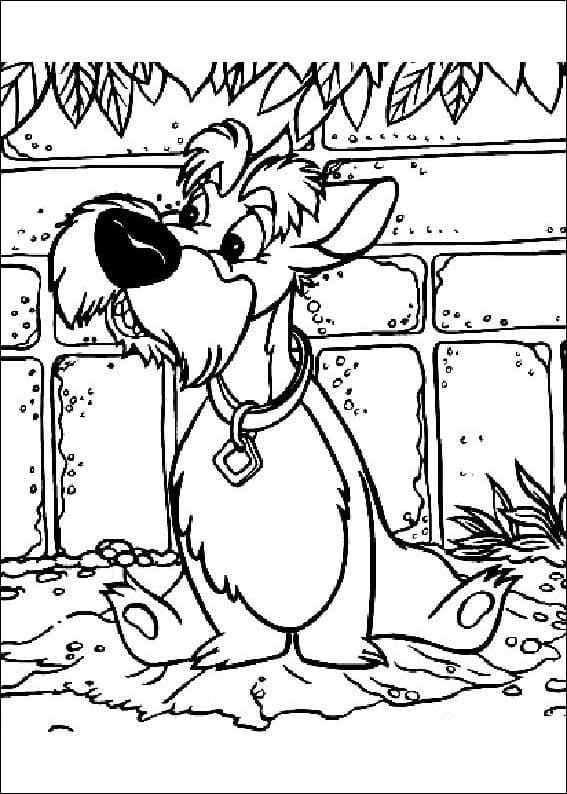 Jock from Lady and the Tramp Coloring Page