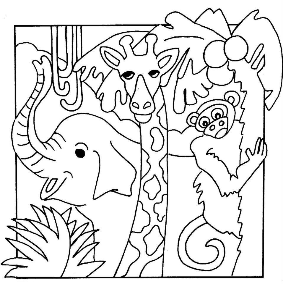 Jungle Animalss Coloring Pages   Coloring Cool