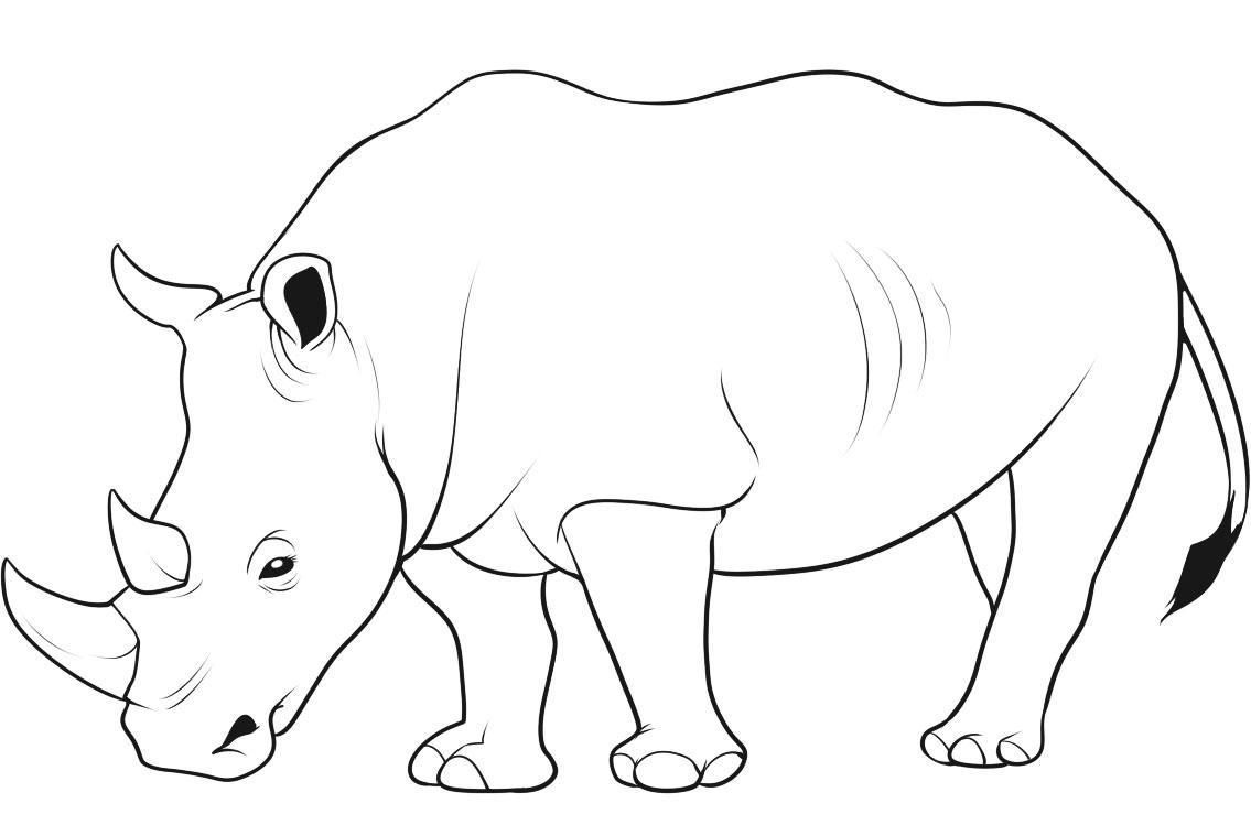 Kids Free Animal S Rhino7424 Coloring Page