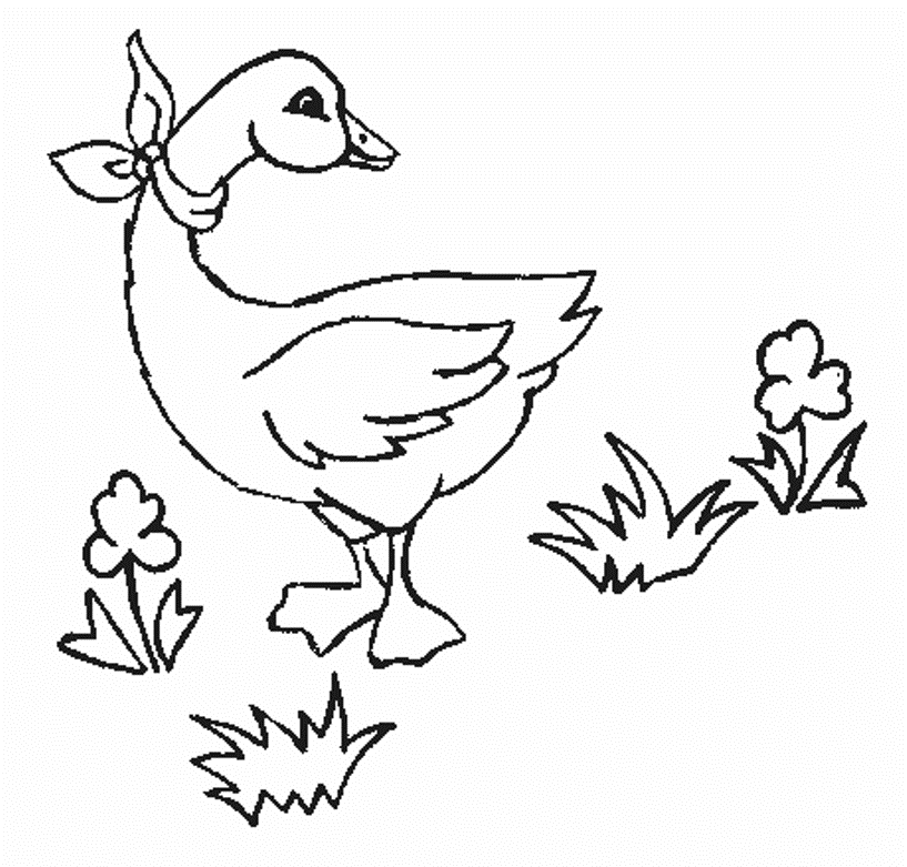 Kids Printable Animal S Goose5789 Coloring Page