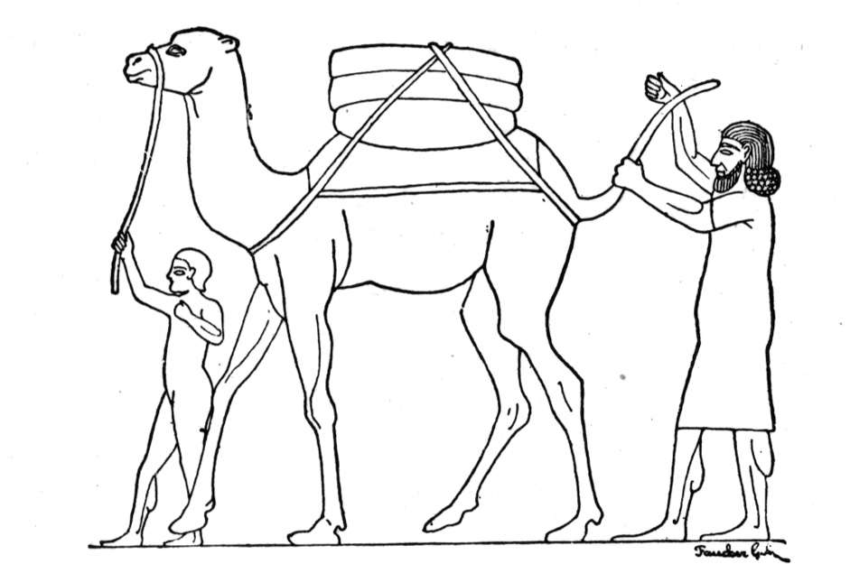 Kids Printable Camels