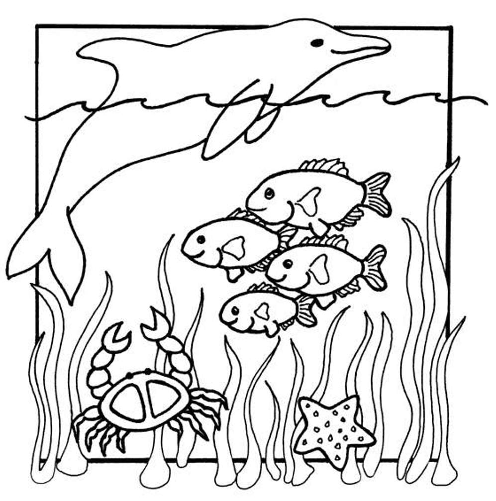 Kids S Of Sea Animals40a9 Coloring Page