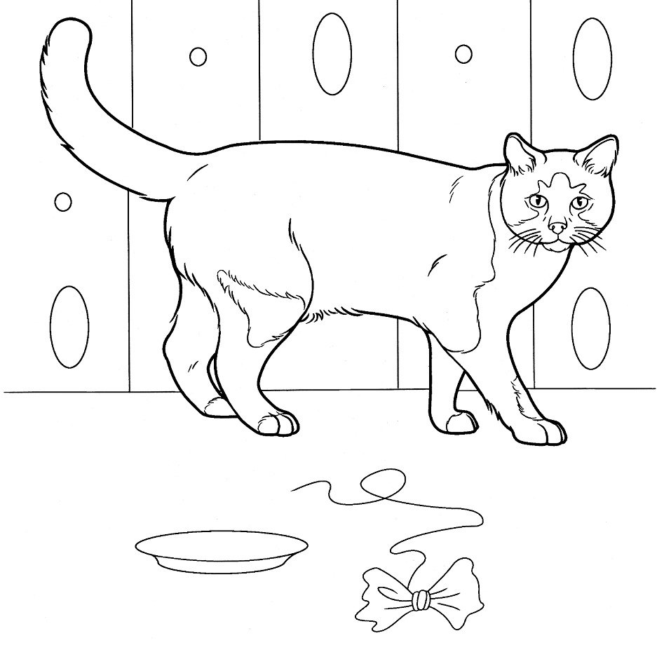 Kitten at Home Coloring Page