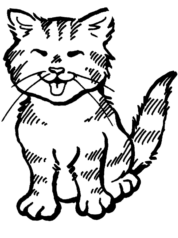 Kitten Meowing Coloring Page