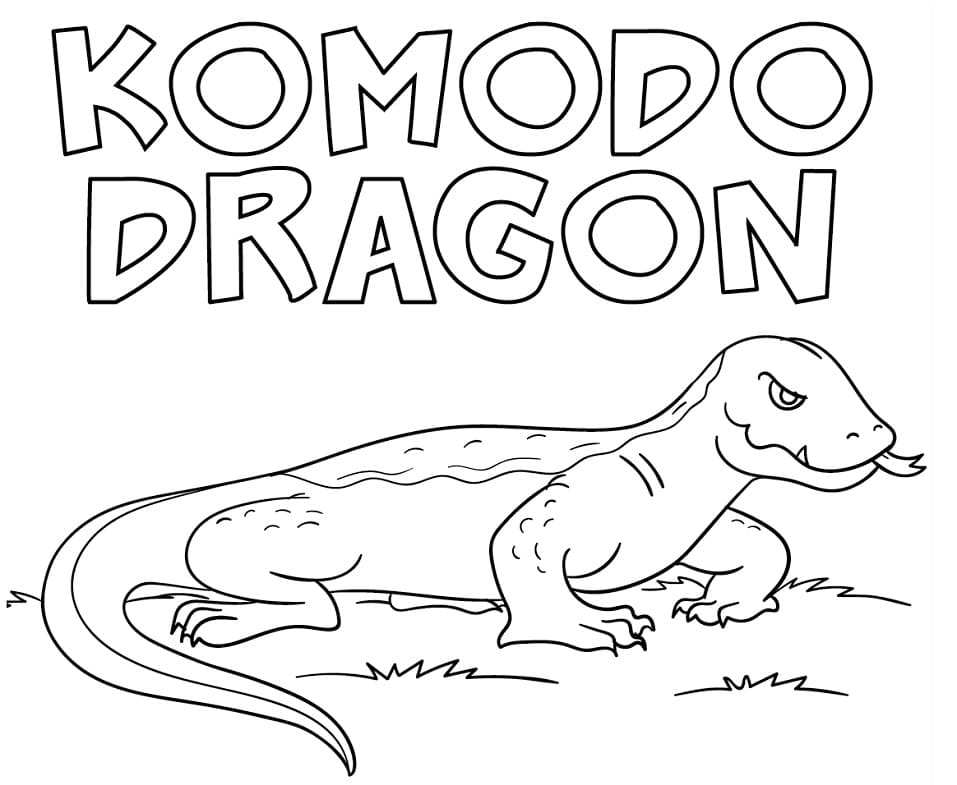Komodo Dragon 4