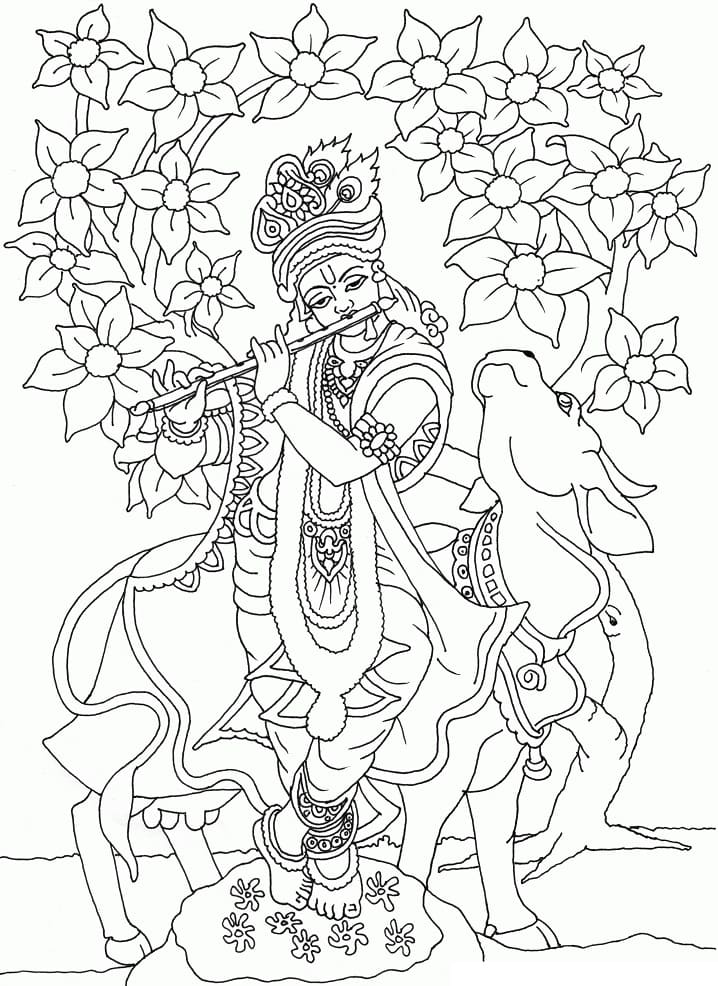 Krishna 1