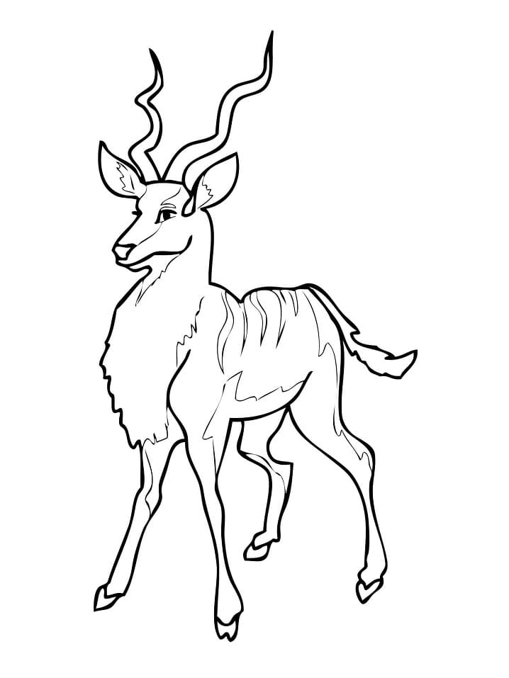 Kudu Antelope Coloring Page