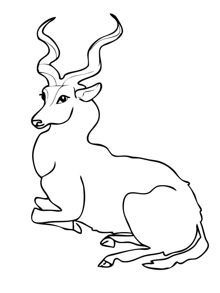 Kudu Forest Antelope Coloring Page