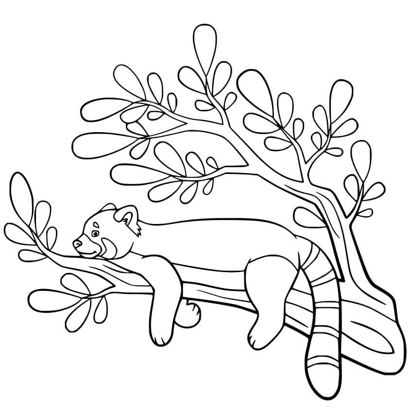 Lazy Red Panda Coloring Page