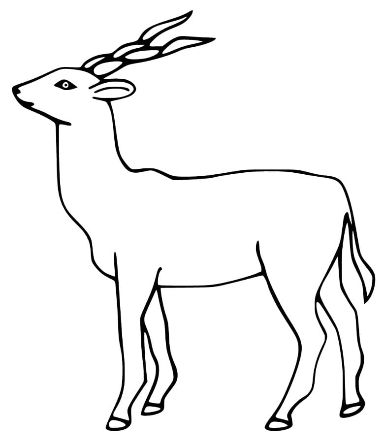 Lechwe Antelope Coloring Page