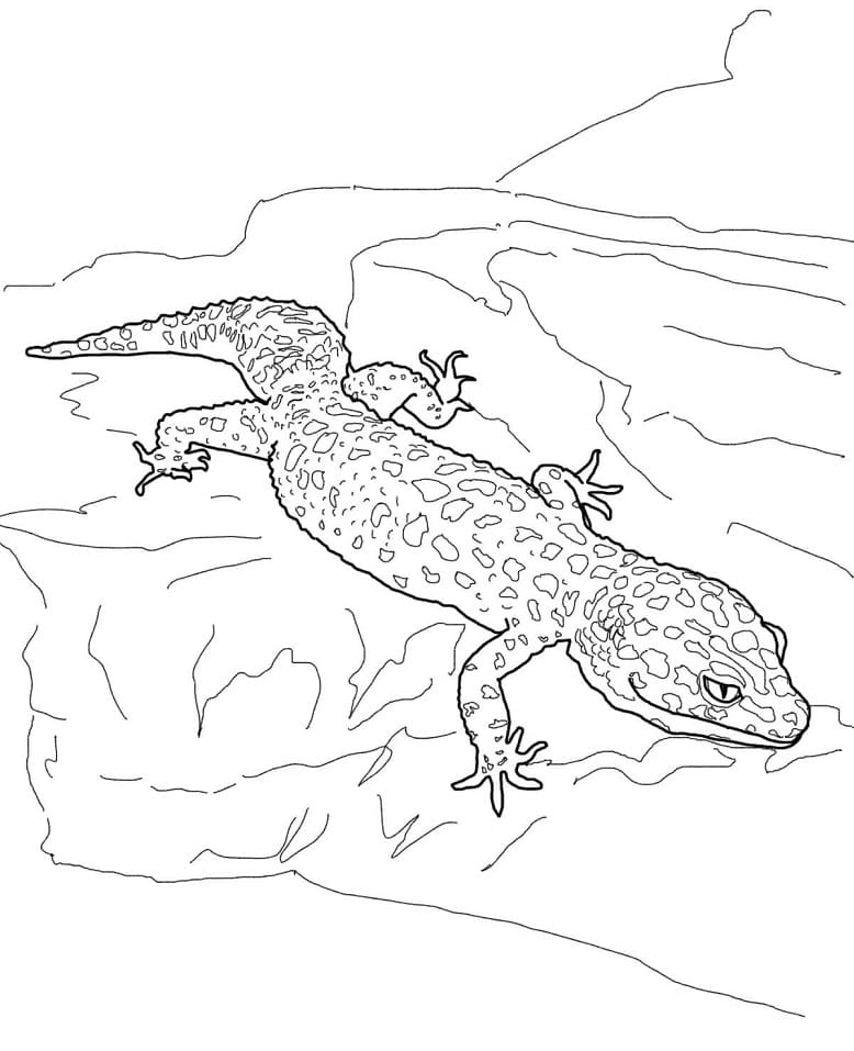 Leopard Gecko 2 Coloring Page