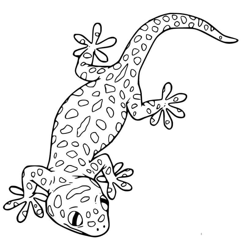 Leopard Gecko 3 Coloring Page