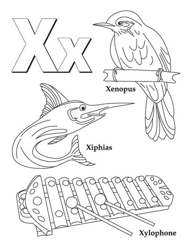 Letter X 5 Coloring Page