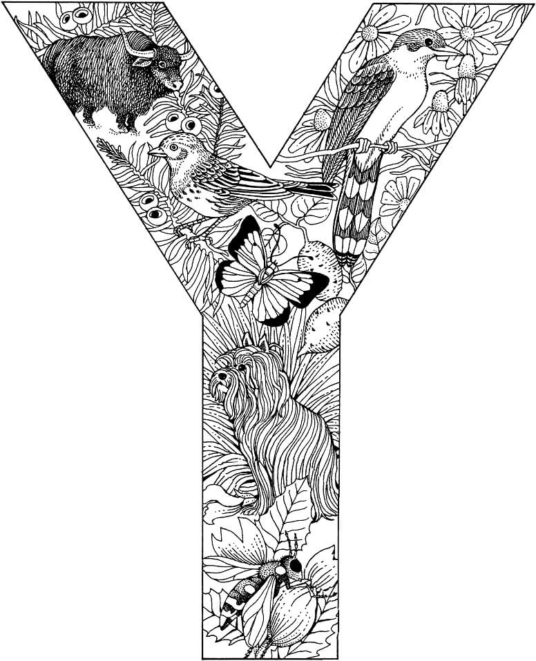 Letter Y 1 Coloring Page