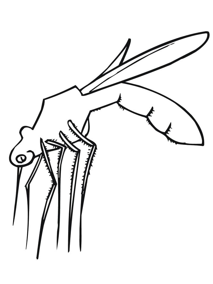 Lineart Mosquito Coloring Page