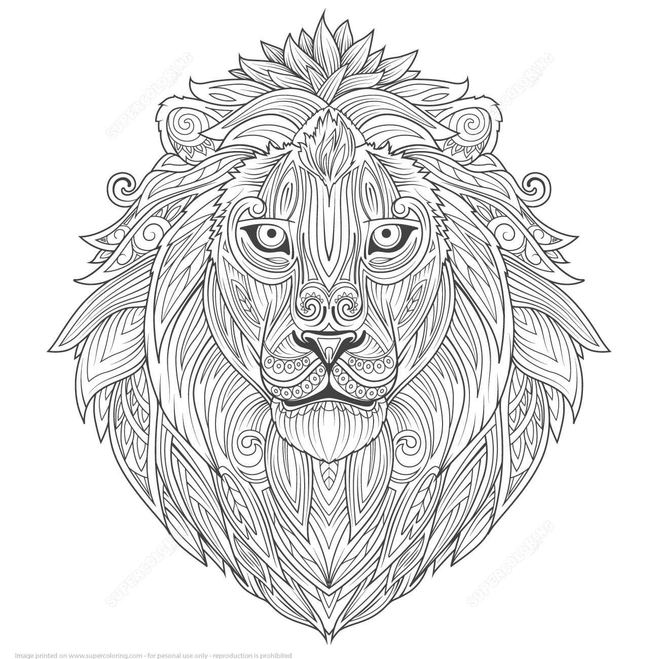 Lion Ethnic Zentangle Adults