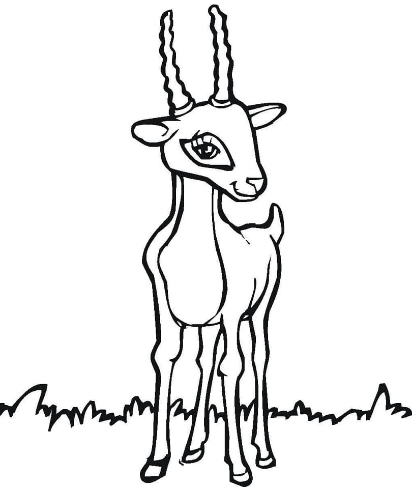Little Antelope Coloring Page