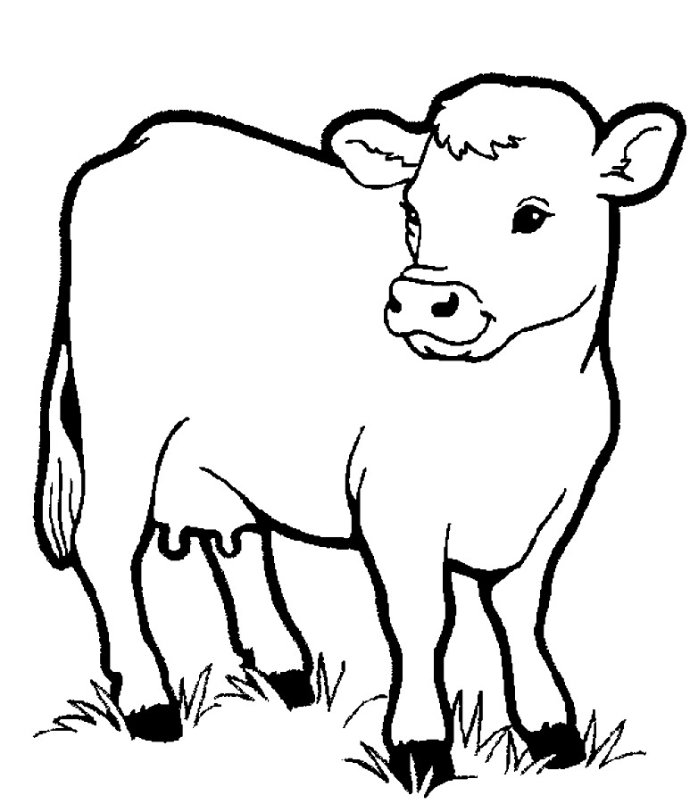 Little Cow Preschool S Farm Animalsbb1f Coloring Page