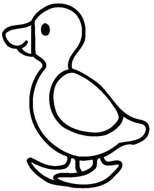 Little Duck for 1 Year Old Kids Coloring Page