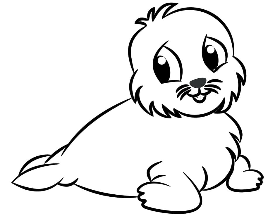Little Fur Seal Coloring Page