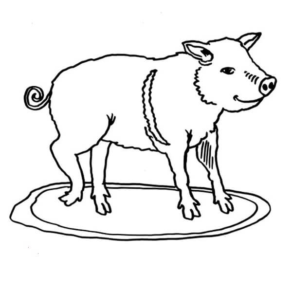 Little Hungry Pig Coloring Page