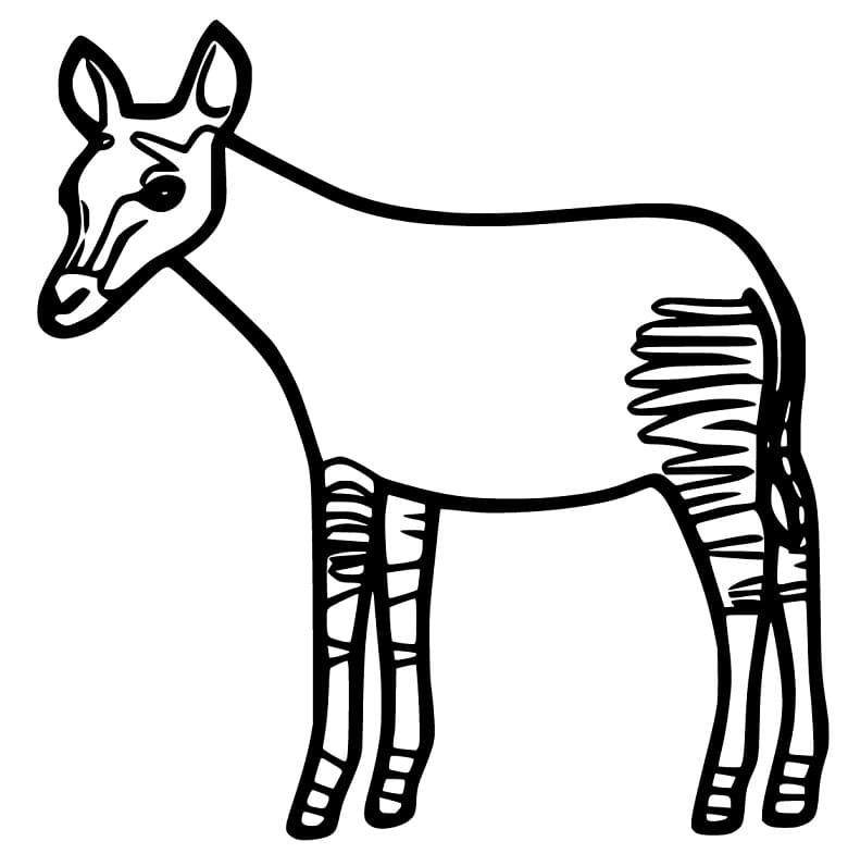 Little Okapi Coloring Page