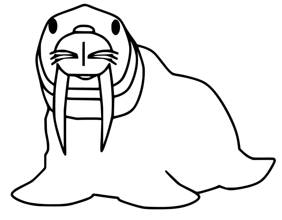 Little Walrus Coloring Page