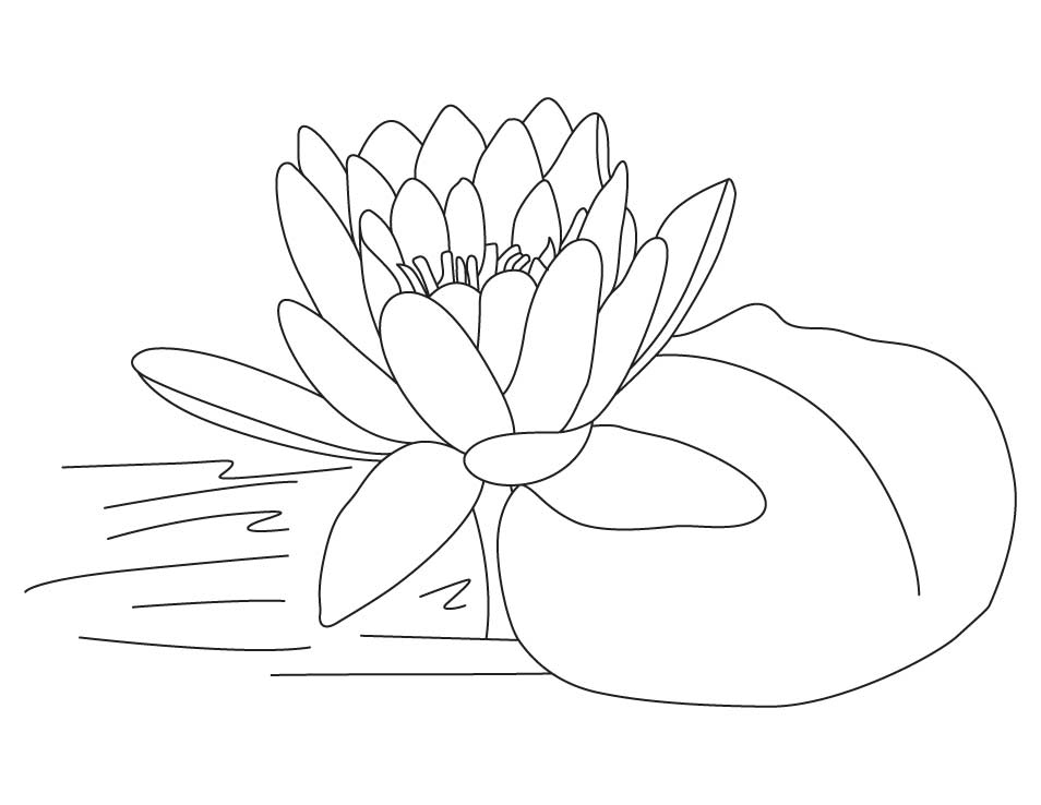 Lotus Coloring Sheets