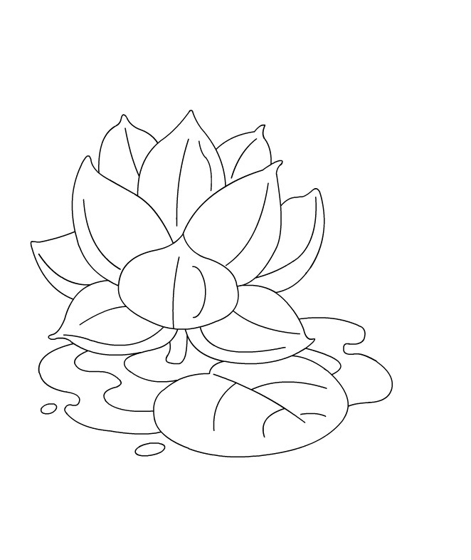 Lotus Flowers for Kids Coloring Page