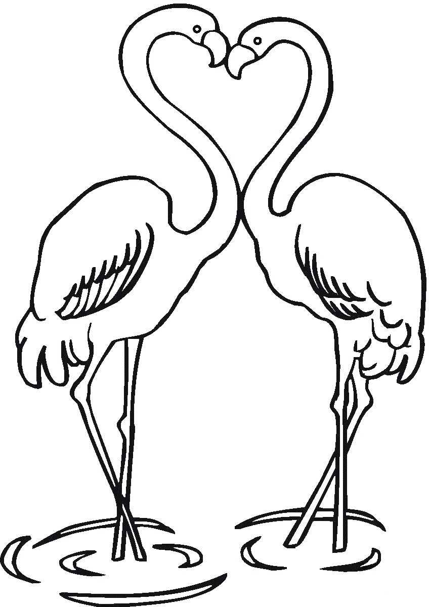 Love Couple Of Flamingos Coloring Page