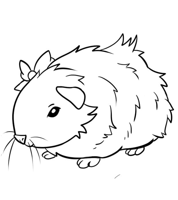 Loveable Guinea Pig Coloring Page