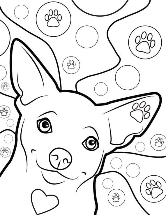 Lovely Chihuahua Dog Coloring Page