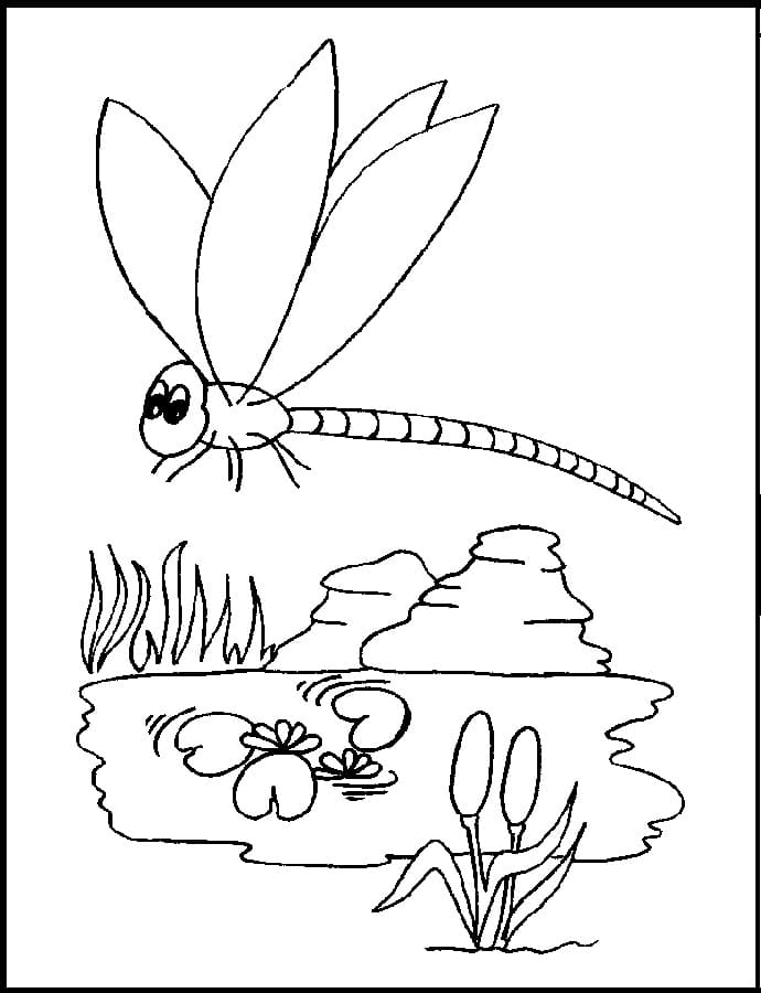 Lovely Dragonfly Coloring Page