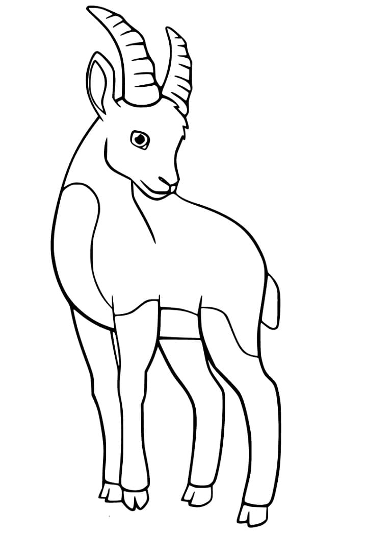 Lovely Ibex Coloring Page